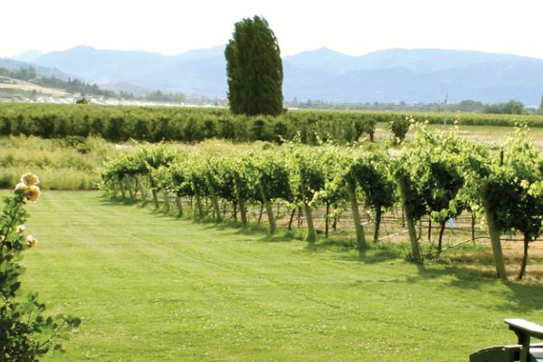 FOTAS Community Spay & Neuter Clinic